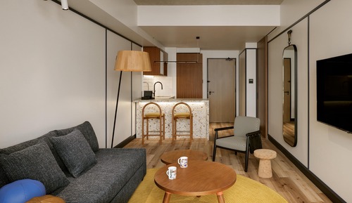 Suite, 1 cama de matrimonio grande con sofá cama