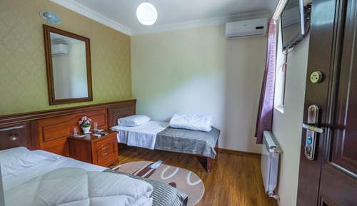 Deluxe Double or Twin Room, Balcony, Mountain View