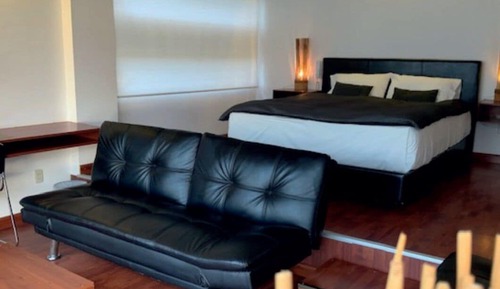 Habitación básica, vistas al jardín