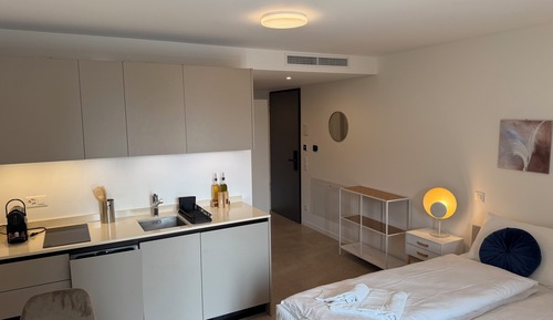 Estudio estándar, balcón, vistas al jardín