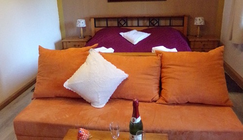 Habitación clásica doble, no fumadores, vistas al jardín