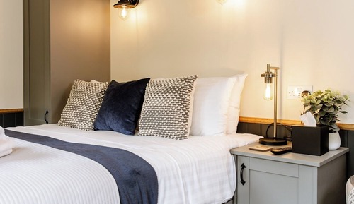 Habitación doble, Se admiten mascotas