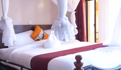 Superior Single Room, Garden View