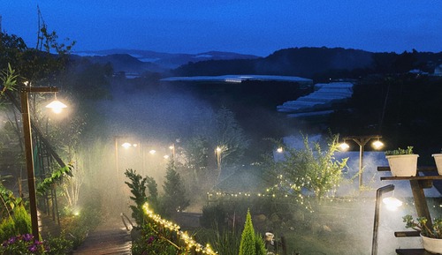 Habitación básica doble, patio