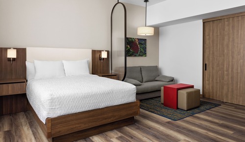 Suite estudio, 1 cama de matrimonio, accesible para personas con discapacidad (Roll-In Shower)