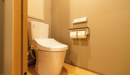 Habitación estándar con 2 camas individuales, vistas a la montaña