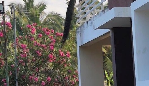 Basic Single Room, Hill View