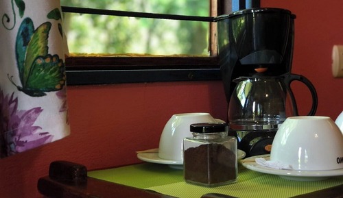 Habitación estándar, vistas al jardín