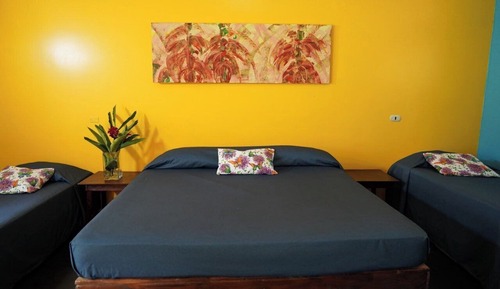 Habitación cuádruple familiar, vistas al jardín