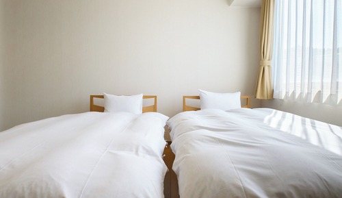 Habitación Deluxe con 2 camas individuales, no fumadores