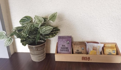 Estudio familiar, vistas al patio