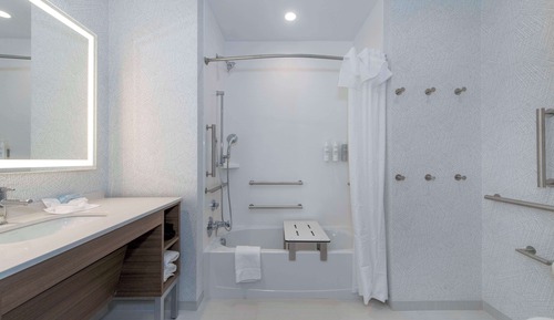 Suite, 1 cama de matrimonio grande, accesible para personas con discapacidad, bañera