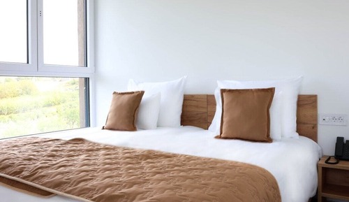 Suite estudio estándar