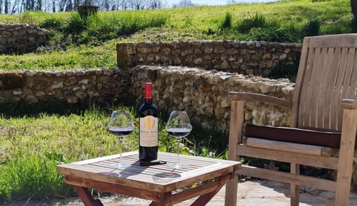 Habitación tradicional doble, planta baja