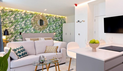 Suite estudio (0 Bedroom)