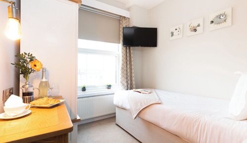 Habitación estándar, 1 cama individual, no fumadores (Cozy Room;Walk-in Shower)