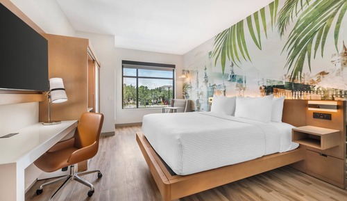 Habitación, 1 cama de matrimonio grande, accesible para personas con discapacidad (Roll-In Shower)