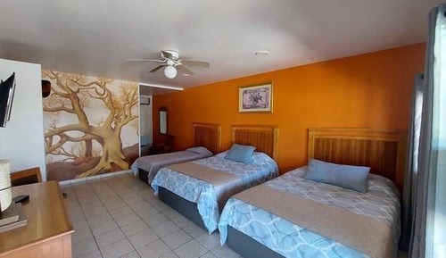 Habitación triple básica