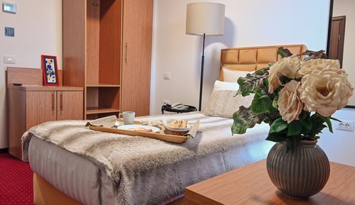 Habitación individual estándar