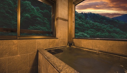 Habitación ejecutiva, no fumadores (with open-airbath, 26sqm)