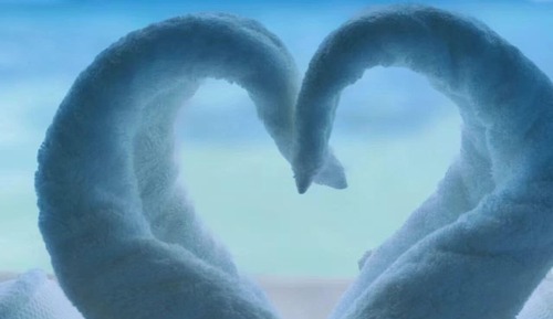 Habitación superior con 1 cama doble o 2 individuales, vistas al mar