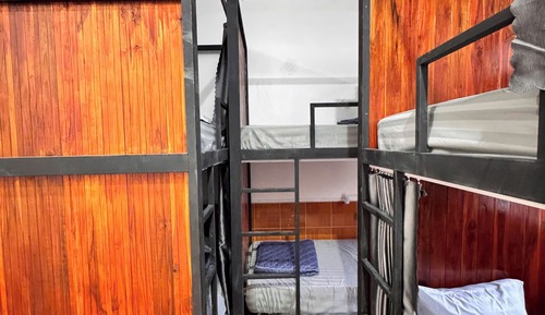 Dormitorio compartido estándar, vistas al jardín