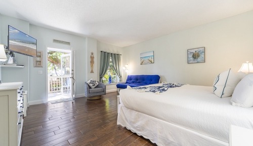 Estudio estándar, patio, vistas al jardín