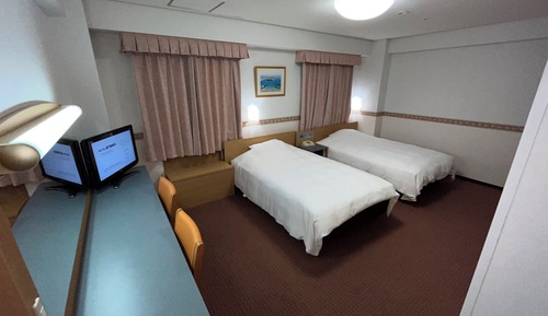 Habitación Deluxe con 2 camas individuales, fumadores