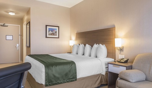 Habitación estándar, 1 cama de matrimonio grande con sofá cama