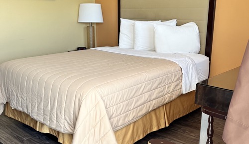 Habitación individual Deluxe