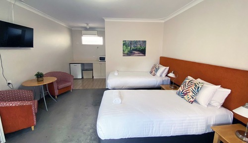 Habitación estándar (Motel Twin)