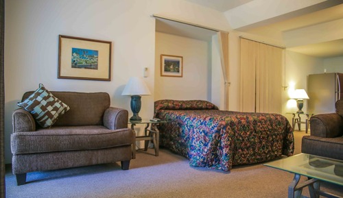Suite estudio estándar, 2 camas dobles, vistas al jardín