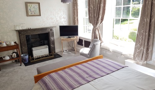 Habitación Deluxe doble, baño privado, vistas al jardín (Garden View Room)