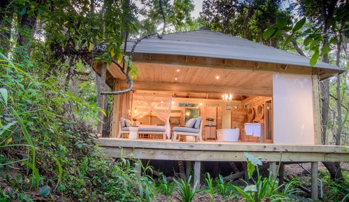 Habitación de lujo doble (Forest)