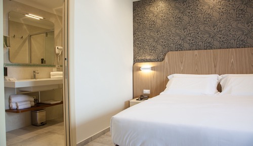 Habitación clásica con 1 cama doble o 2 individuales