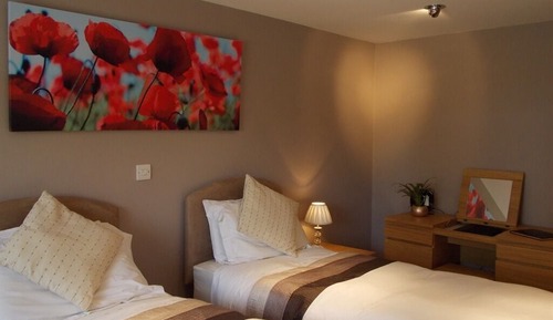 Habitación superior con 2 camas individuales, baño privado (King size bed)