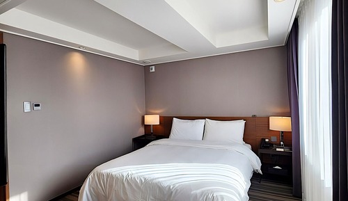 Habitación Deluxe con 2 camas individuales