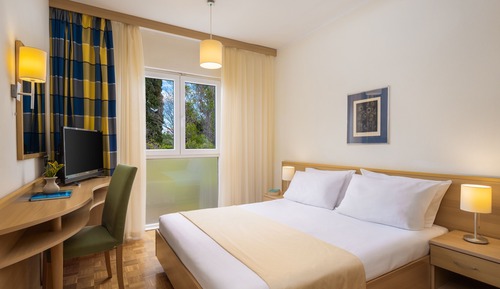 Standard double room