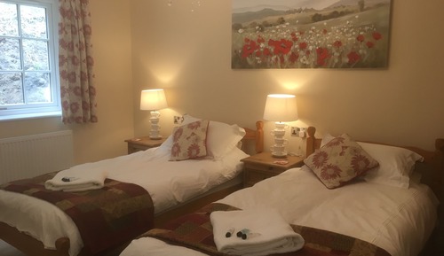 Habitación estándar con 2 camas individuales