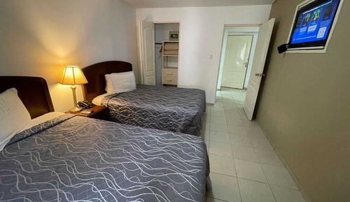 Habitación ejecutiva con 2 camas individuales