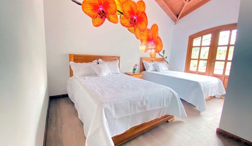 Habitación estándar doble, 1 habitación, acceso a la piscina, vistas al jardín