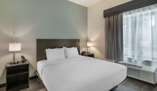 Suite, 1 cama de matrimonio grande, cocina (with Sofabed, Full Kitchen)