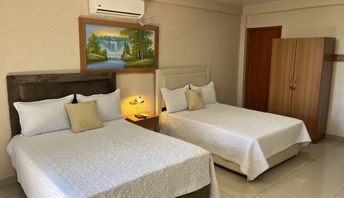 Habitación Deluxe con 2 camas individuales