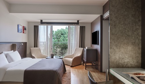 Suite junior, vistas al jardín