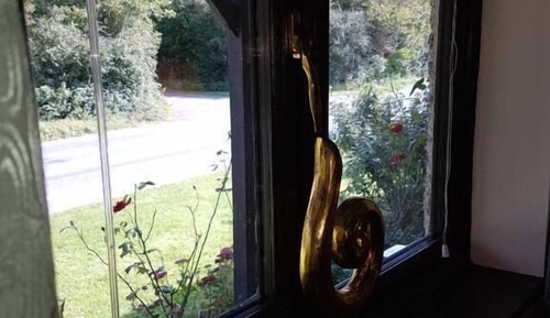 Apartamento Confort, vistas al patio