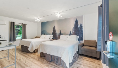 Habitación Deluxe doble, 2 camas de matrimonio