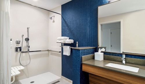 Habitación estándar, 1 cama de matrimonio grande (Mobility/Hearing Access, Roll-in Shwr)