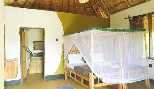 Habitación con 1 cama doble o 2 individuales, vistas al jardín