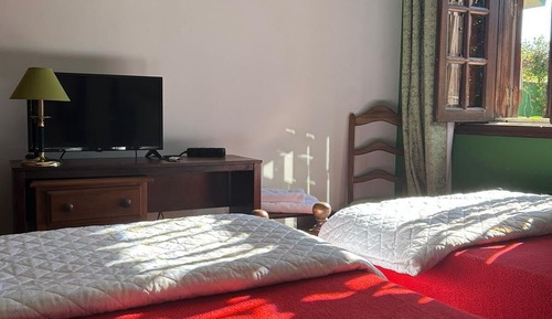 Habitación básica con 2 camas individuales (SUITE 17)