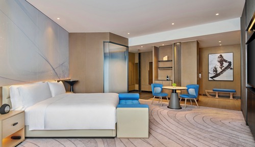 Habitación Premium, 1 cama de matrimonio grande